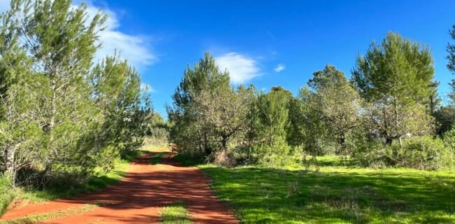 Preciosa parcela con licencia en venta en Santa Eulalia