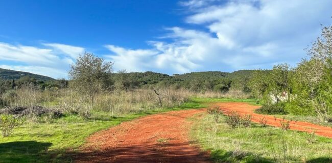 Preciosa parcela con licencia en venta en Santa Eulalia